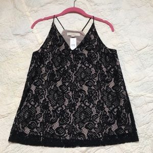 Loft NWT lace top